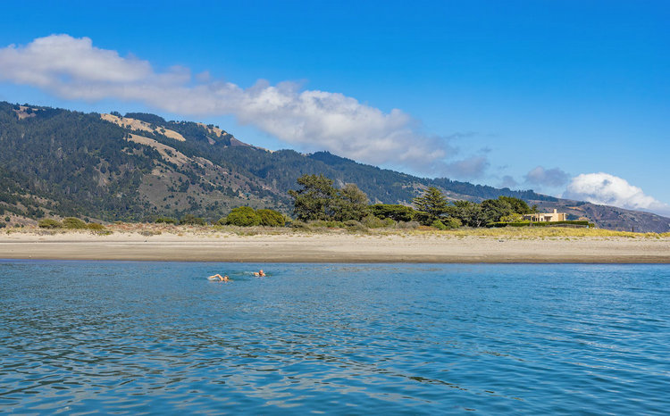 水中氨氮 水中氨氮